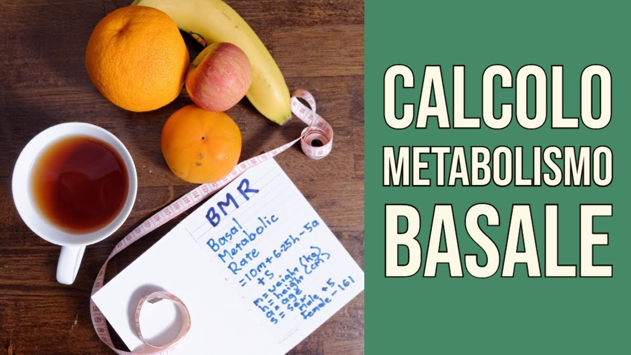 Metabolismo Basale (BMR) - Cos'è e Come si Calcola il Metabolismo Basale
