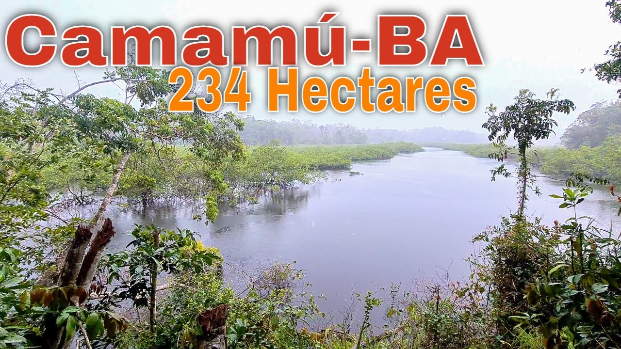 Fazenda de 234 Hectares em Camam&uacute; - BA  R$ 2.340.000