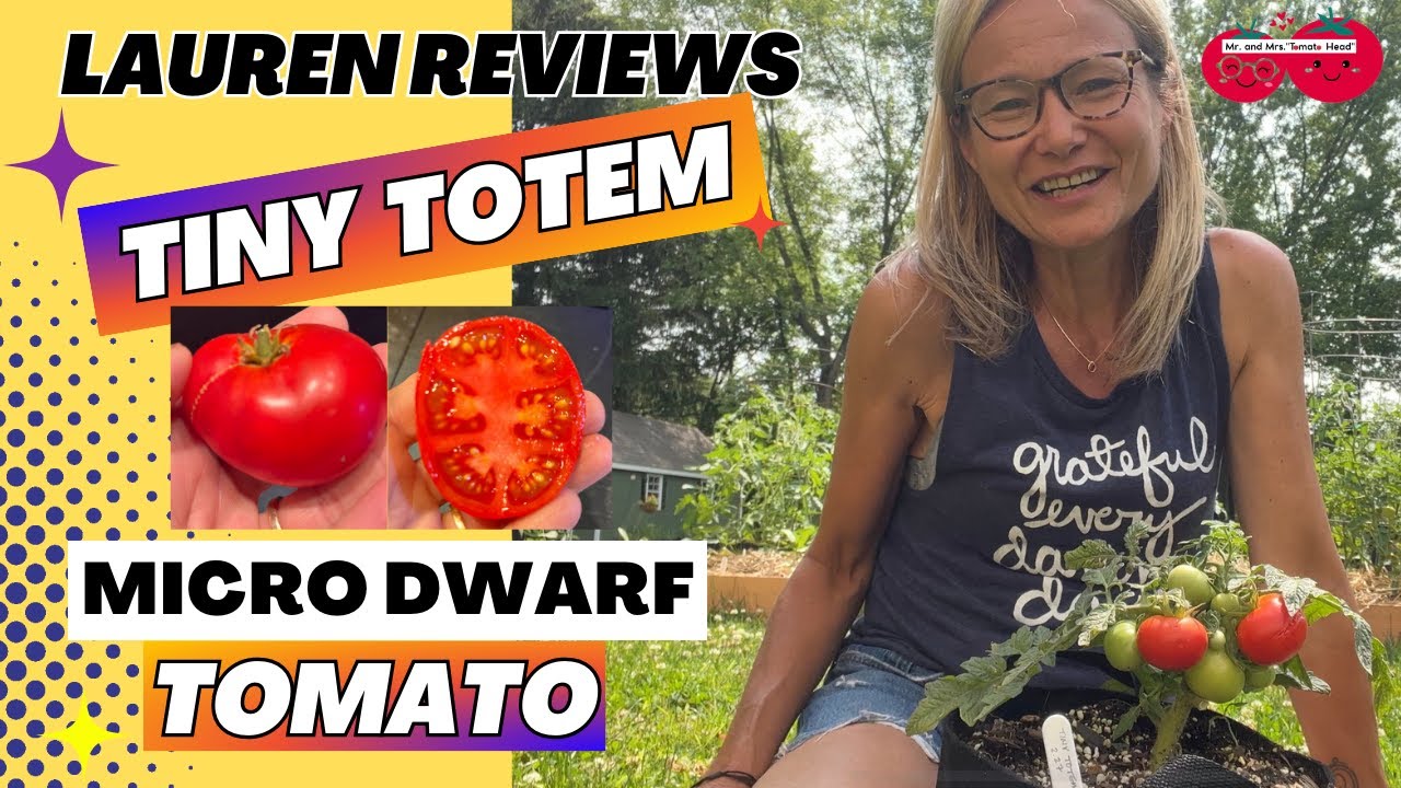 Lauren Reviews TINY TOTEM Micro Dwarf Tomato!