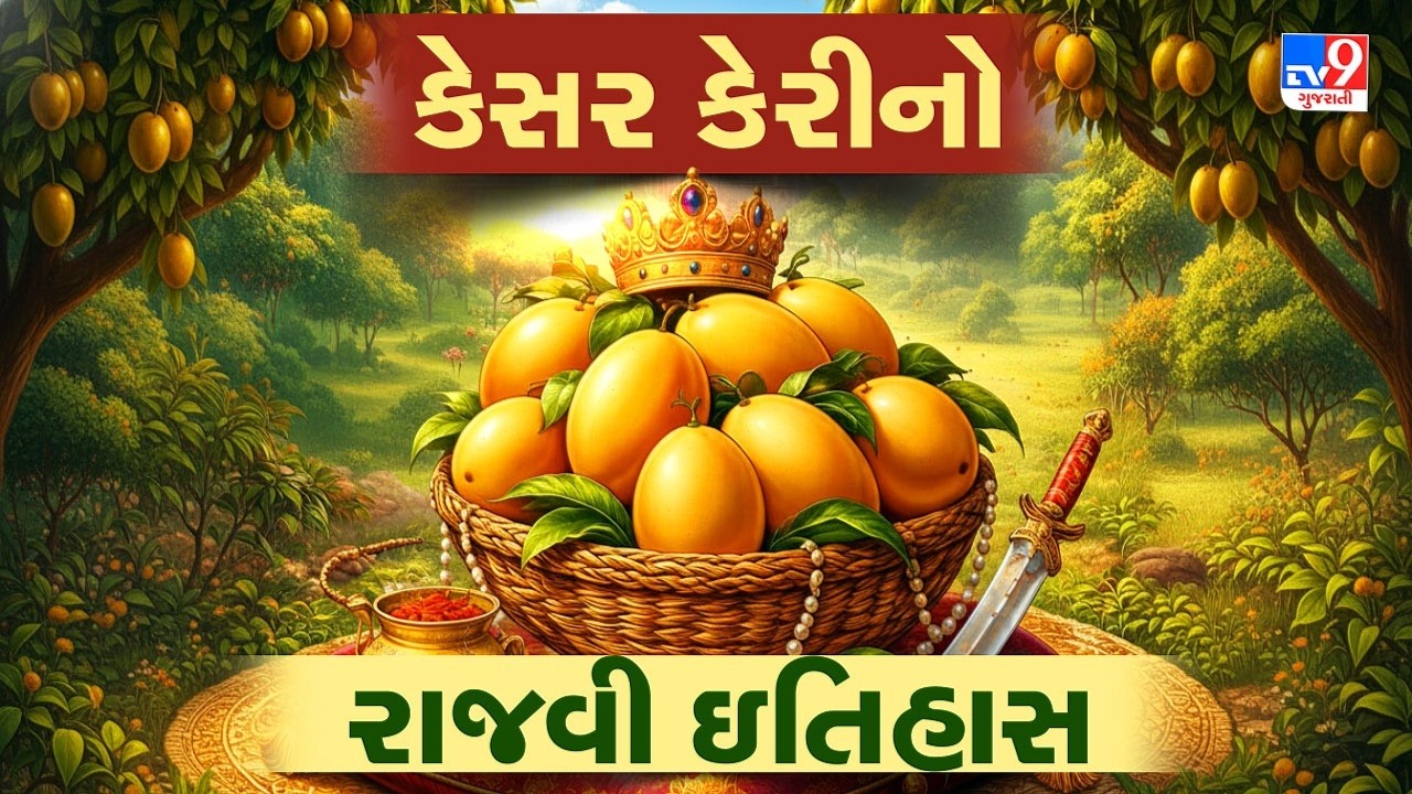 કેસર કેરીનો રાજવી ઇતિહાસ: નવાબ કાળથી 'કેરીઓની રાણી' સુધી   | TV9Gujarati