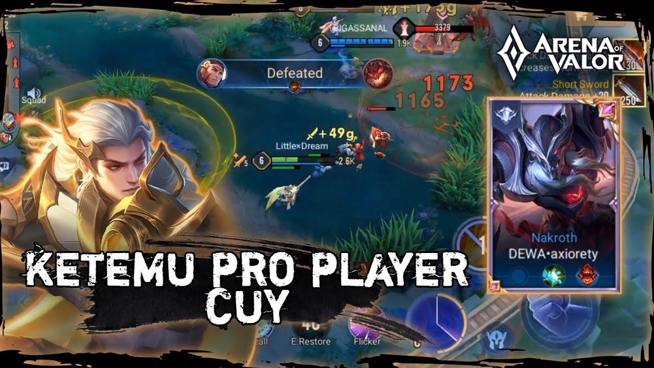 Menggendong Pro Player? - Top Elsu | Arena of Valor
