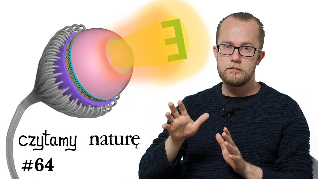 Czytamy naturę #64 | Atlas komórek człowieka - Narodziny galaktyk - Bioniczne oko