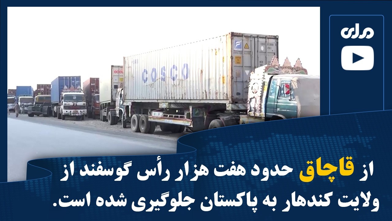 از قاچاق حدود هفت هزار رأس گوسفند از ولایت کندهار به پاکستان جلوگیری شده است