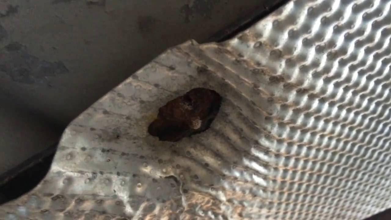 2006 Ford Focus $3 heat shield rattle fix