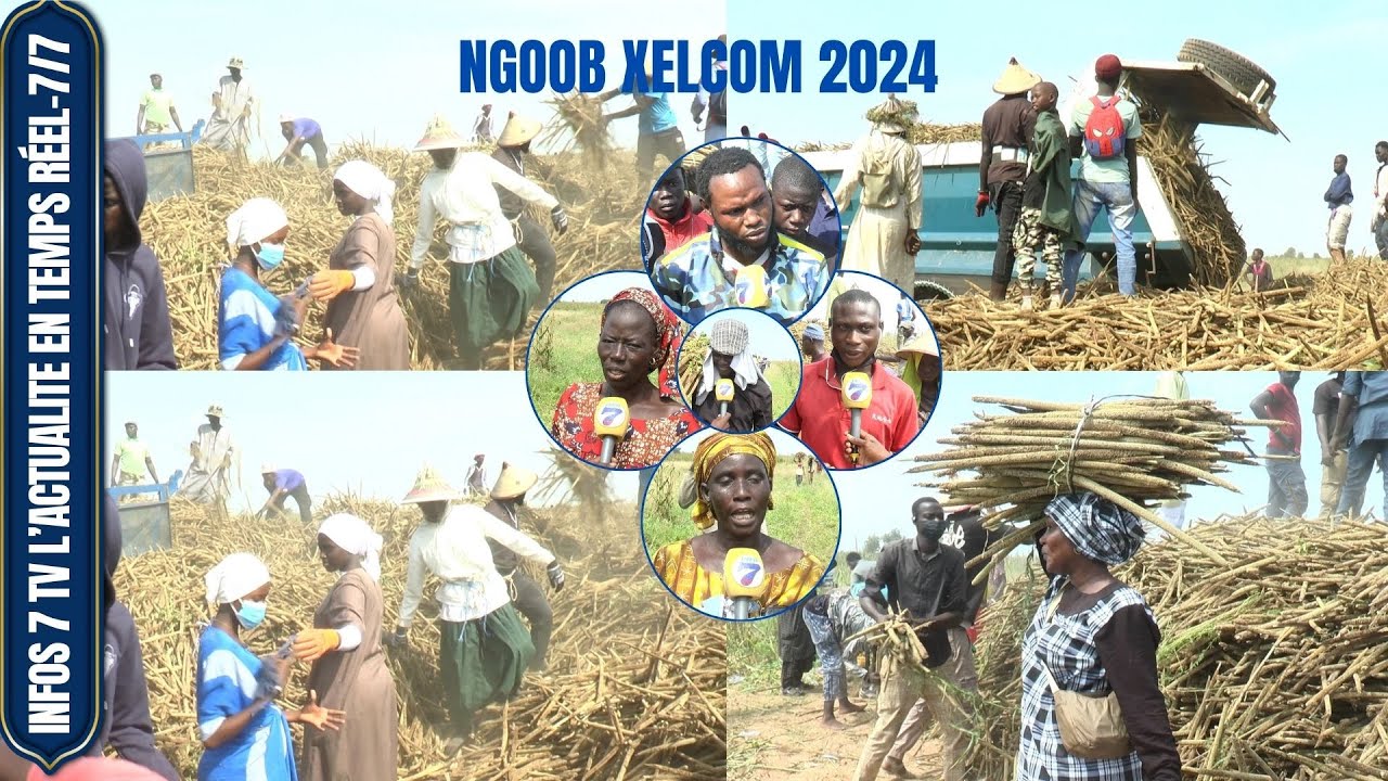 KHELCOM 2024: NGOOB DAARAY SERIGNE CHEIKH SALIOU TOUBA XELCOM