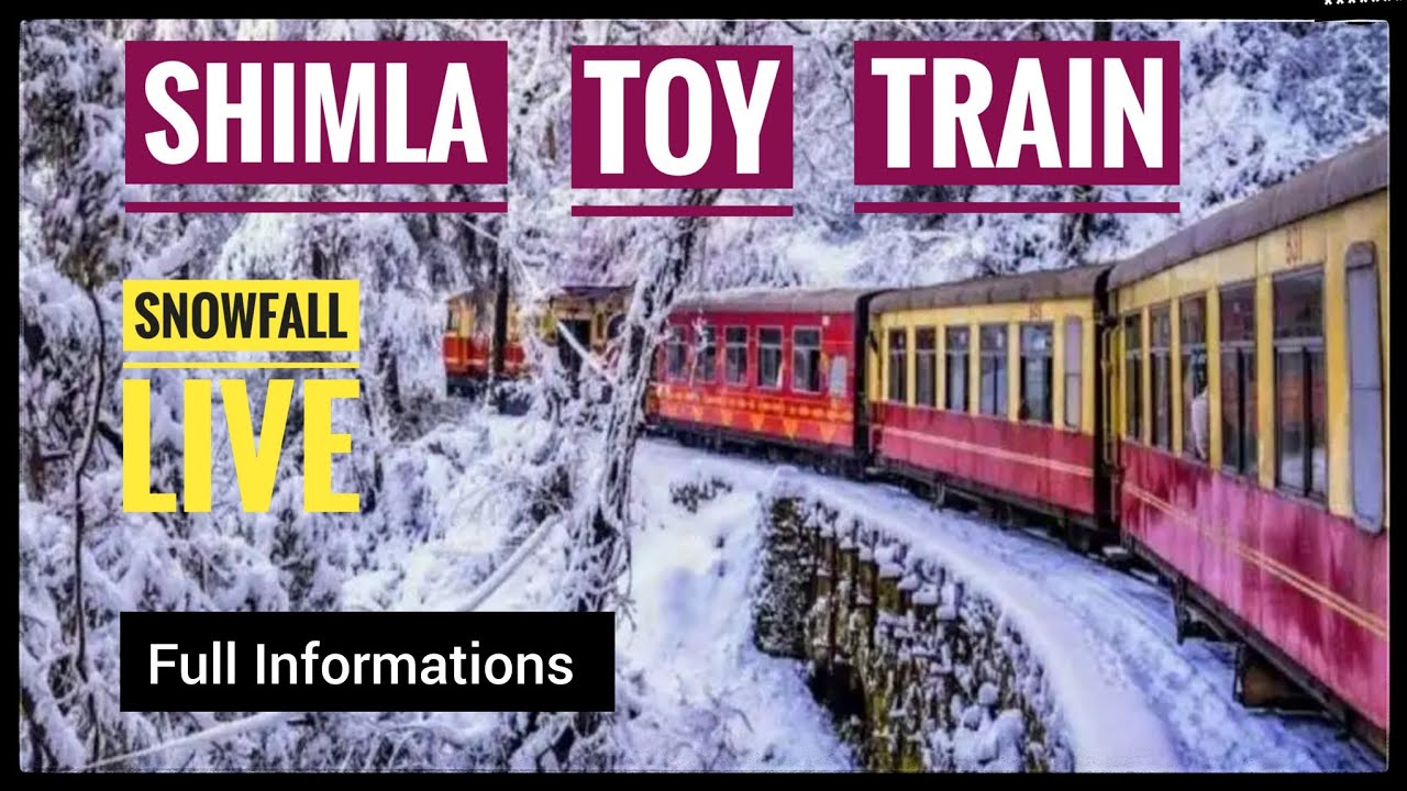 Shimla toy train in snow। Kalka to shimla toy train snow | Shimla train journey snow।
