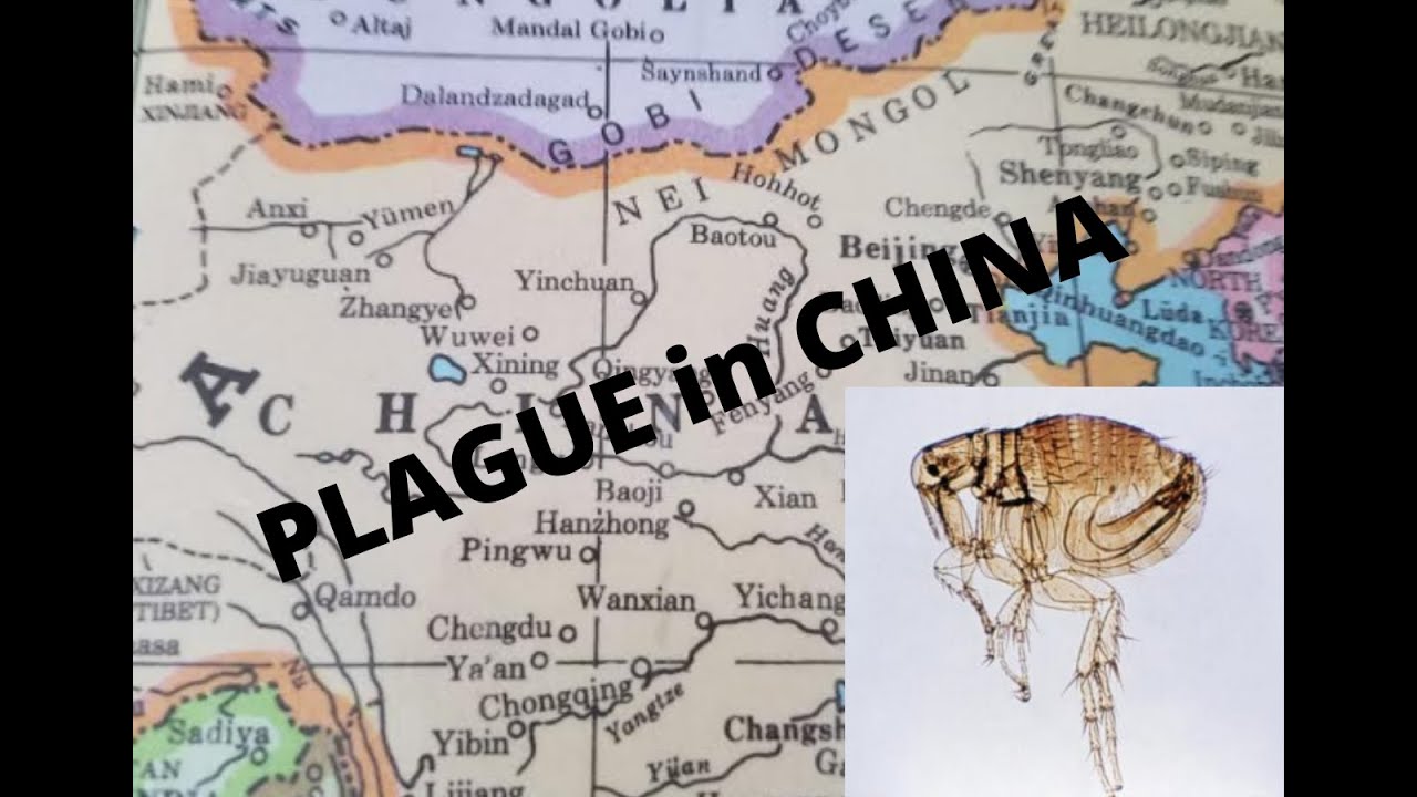 Plague in China: Pneumonic plague diagnosed in Beijing