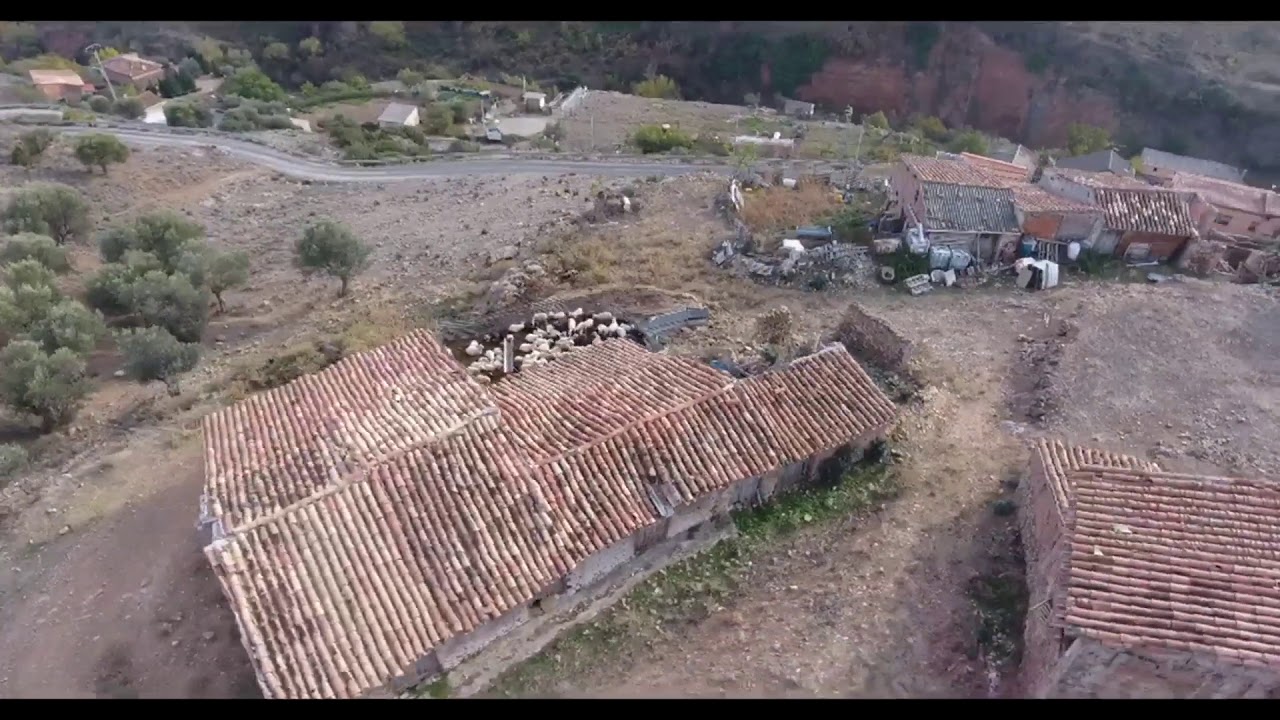 VII Jornadas Gastronomicas del Cerdo Asado -Santa Engracia de Jubera 12 Noviembre del 2017