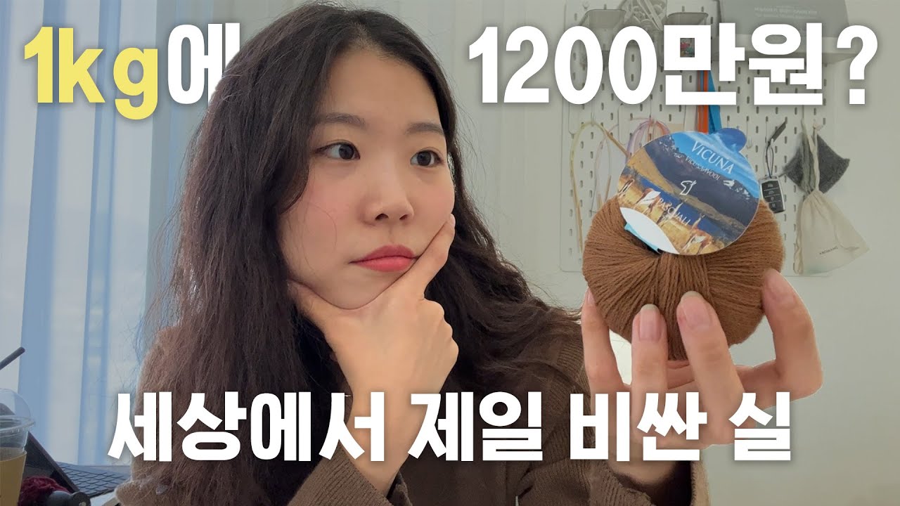 1kg에 1200만원짜리 vicuna 실 리뷰 | 바늘이야기