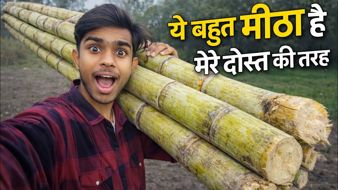 इतना मीठा गन्ना पहले कभी नहीं देखा 😱 | गाँव का सबसे बड़ा गन्ना Vlog  | #vlog #taufai 