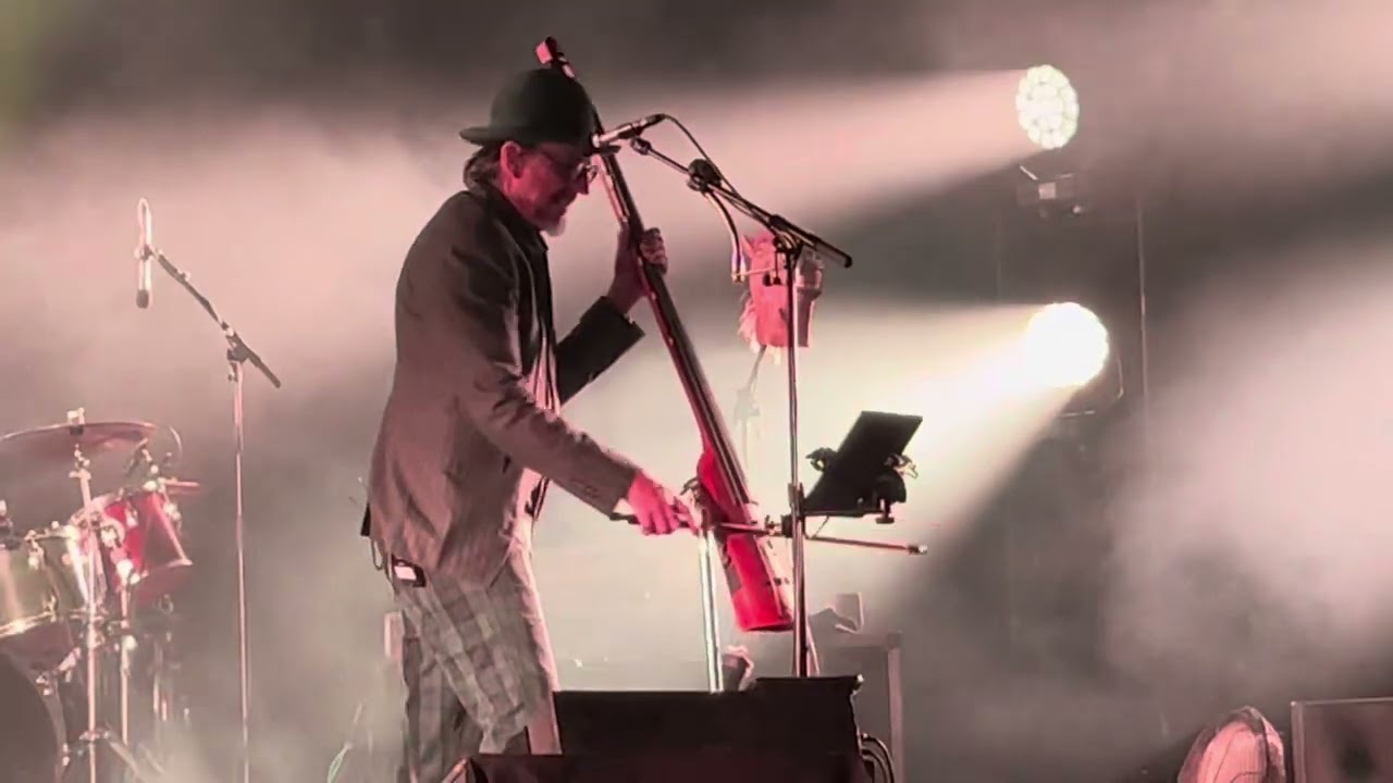 Les Claypool&rsquo;s Fearless Flying Frog Brigade David Makalaster II @ The Wiltern 2023