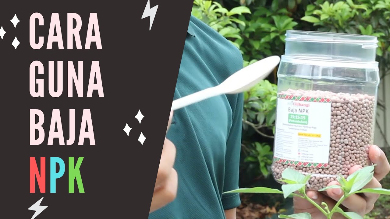Pokok Cili Lecuh Baja? Ini Cara Guna Baja NPK Yang Betul