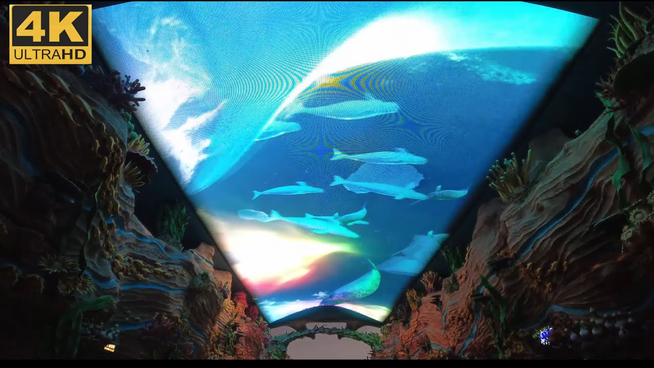 Zhu Hai | 4K | Chime Long Ocean Kingdom Musical Fountain Spectacular and Ocean Resistance Firework