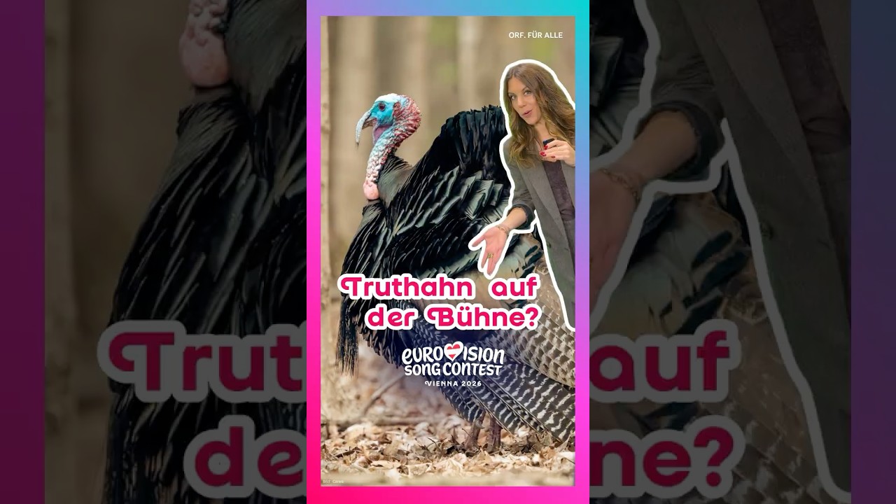 Ein Truthahn beim ESC????😱😂
