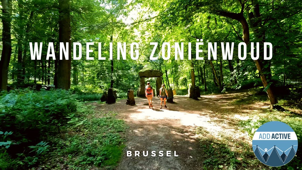 Wandeling in het Zoniënwoud - Brussel