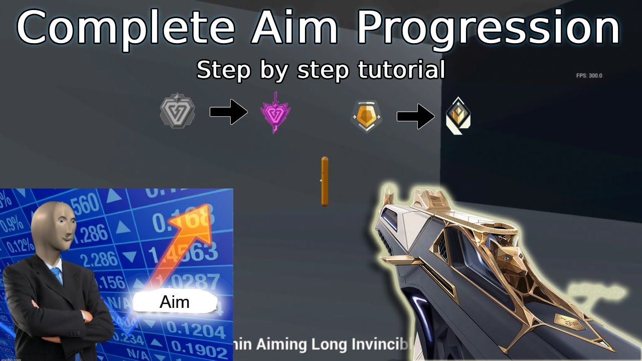 Step by step AIM PROGRESSION guide to Top Ranks for all FPS (valorant, cs2, apex, cod...)