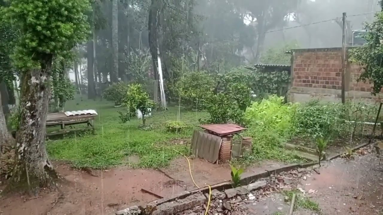 Linda paisagem banhada pela chuva que caí 