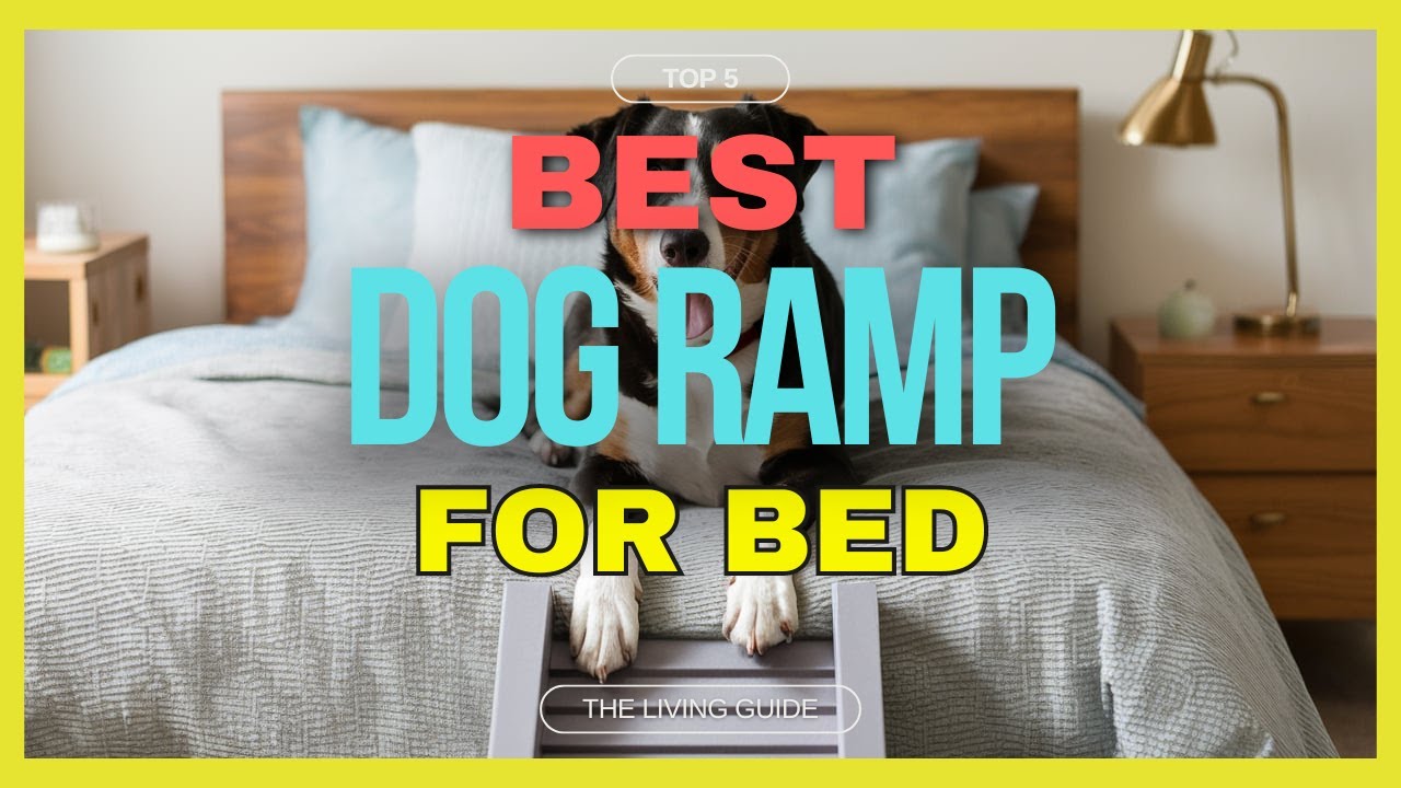 🔥 Best Dog Ramp for Bed in 2026 ☑️ TOP 5 ☑️