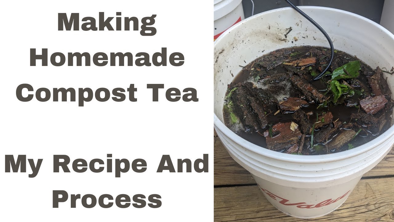 Making My Own Compost Tea!  A Great Way To Give Your Plants A Nutrient Boost