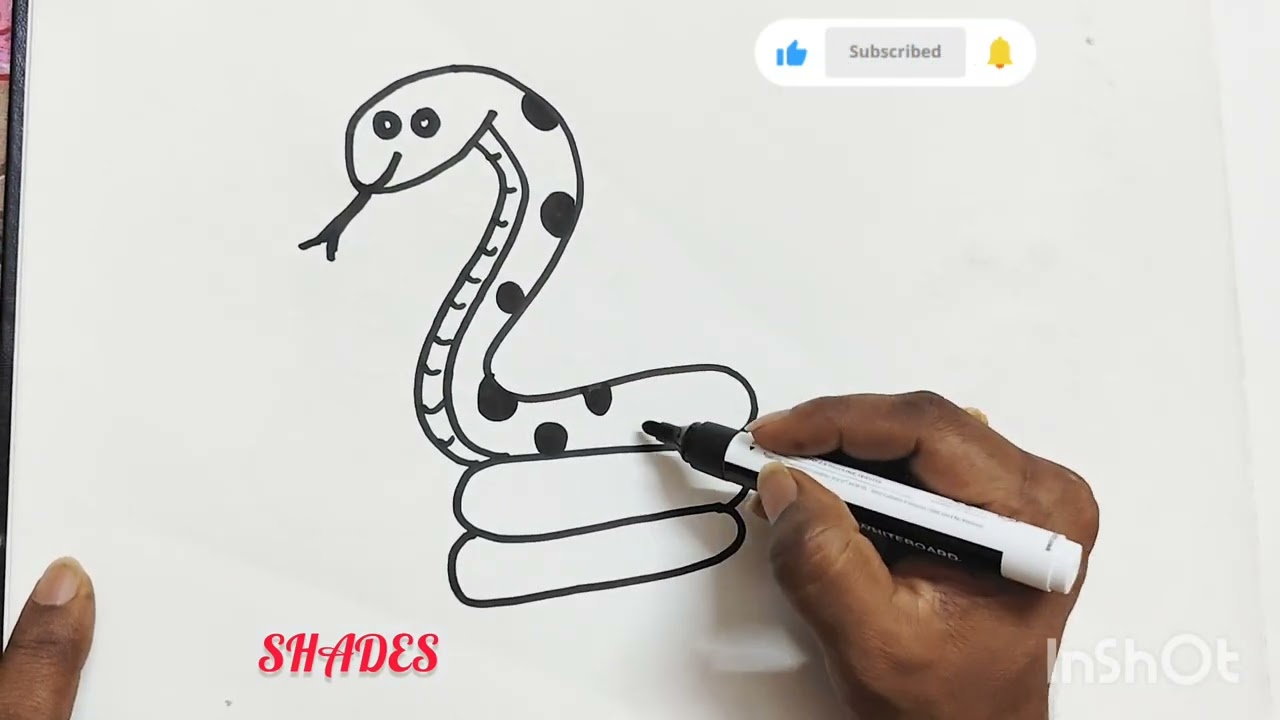 Easy snake drawing. Step by step drawing 
