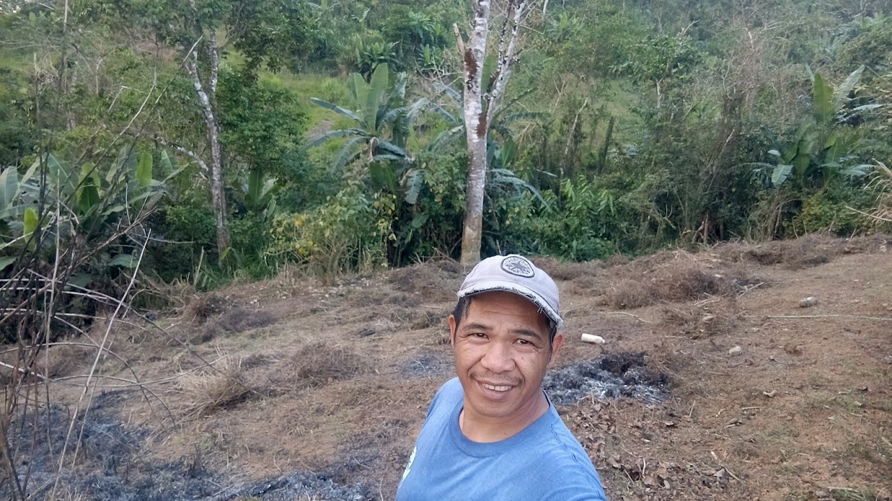 Paglilinis sa bagong gugulayan