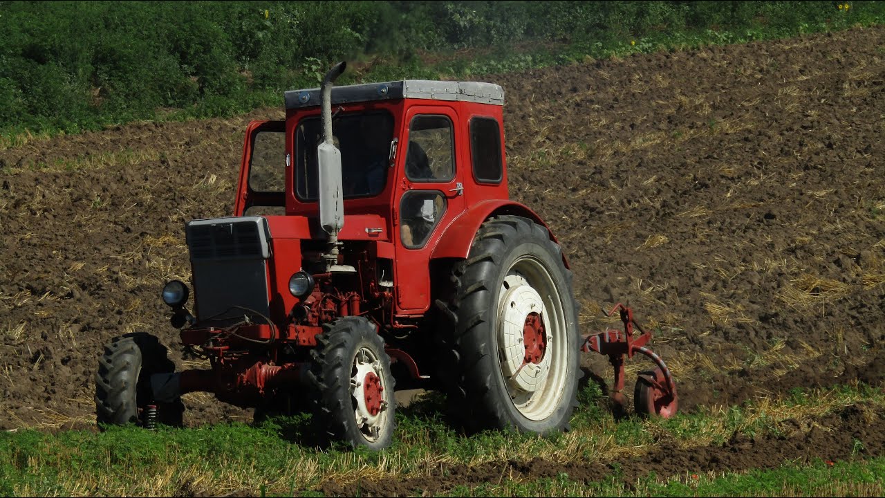 ORANJE 2023 - RUS T40 AS i Rasa Mungos Bez Rotacije ..