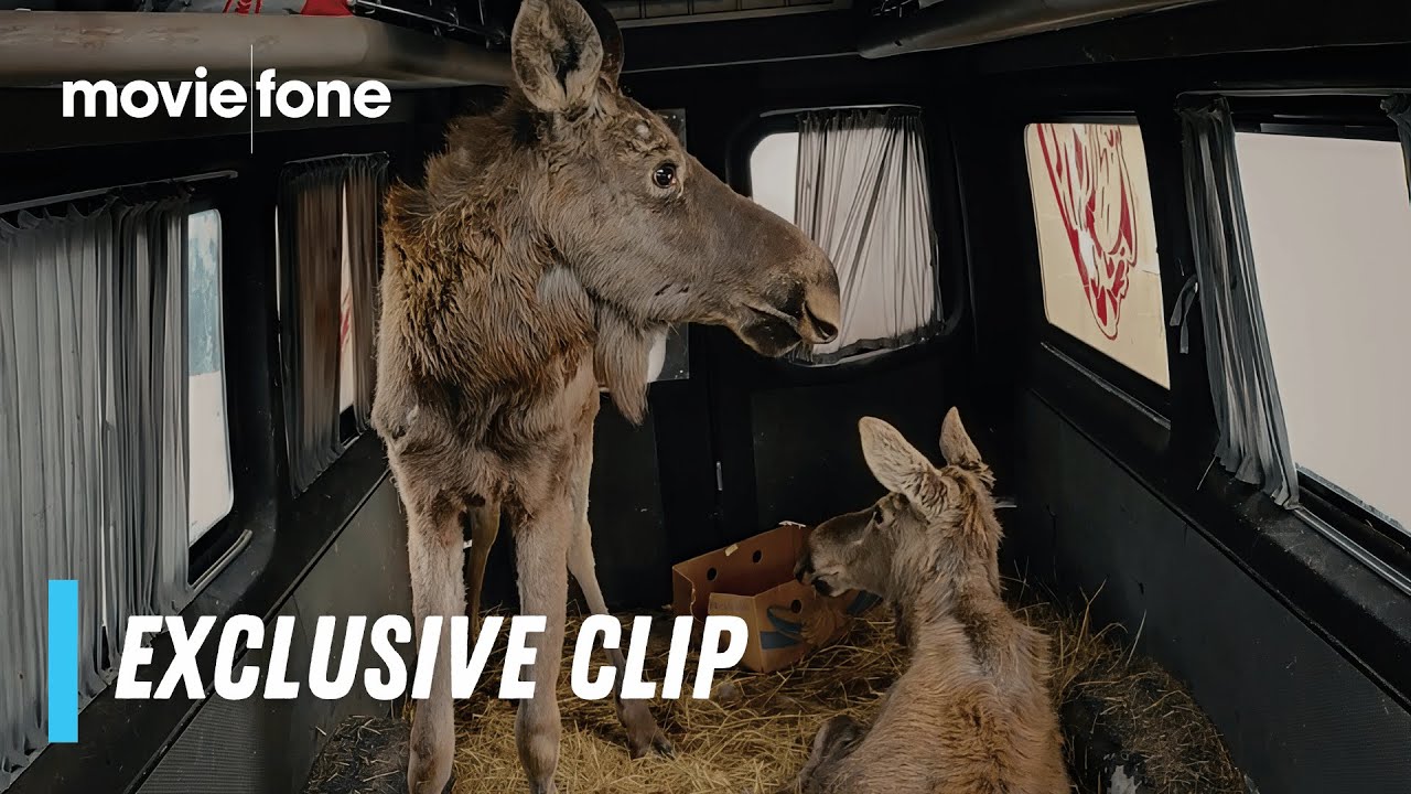 Checkpoint Zoo | Exclusive Clip | Joshua Zeman