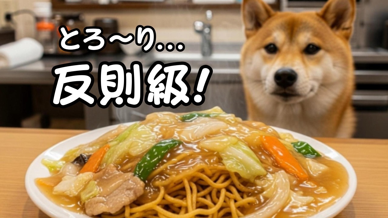 【あんかけ焼きそば】パリパリ麺にとろ〜り餡が最高すぎた｜柴犬ポチ食堂