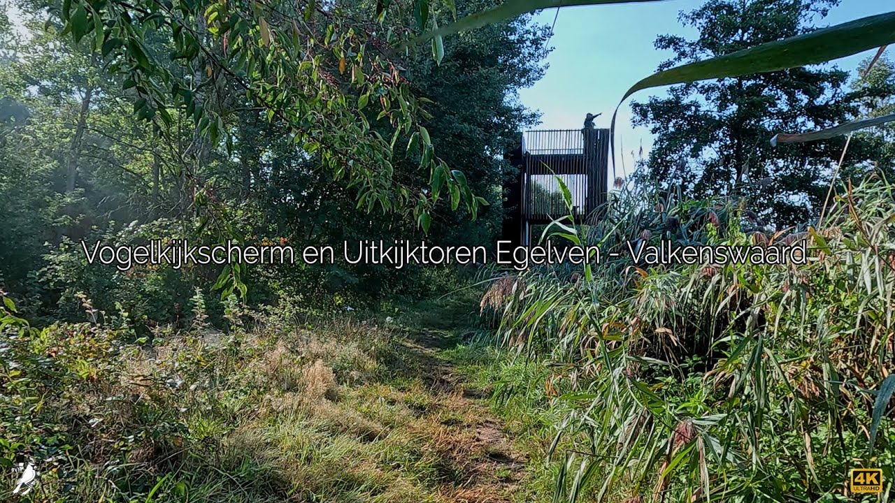 Vogelkijkscherm en Uitkijktoren Egelven - Valkenswaard 🎤