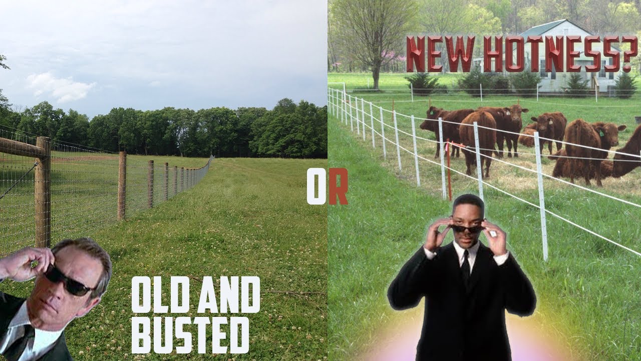 Is Timeless Fence Worth The Money? | Timeless Farm Field Fence Initial Review (brutal review)