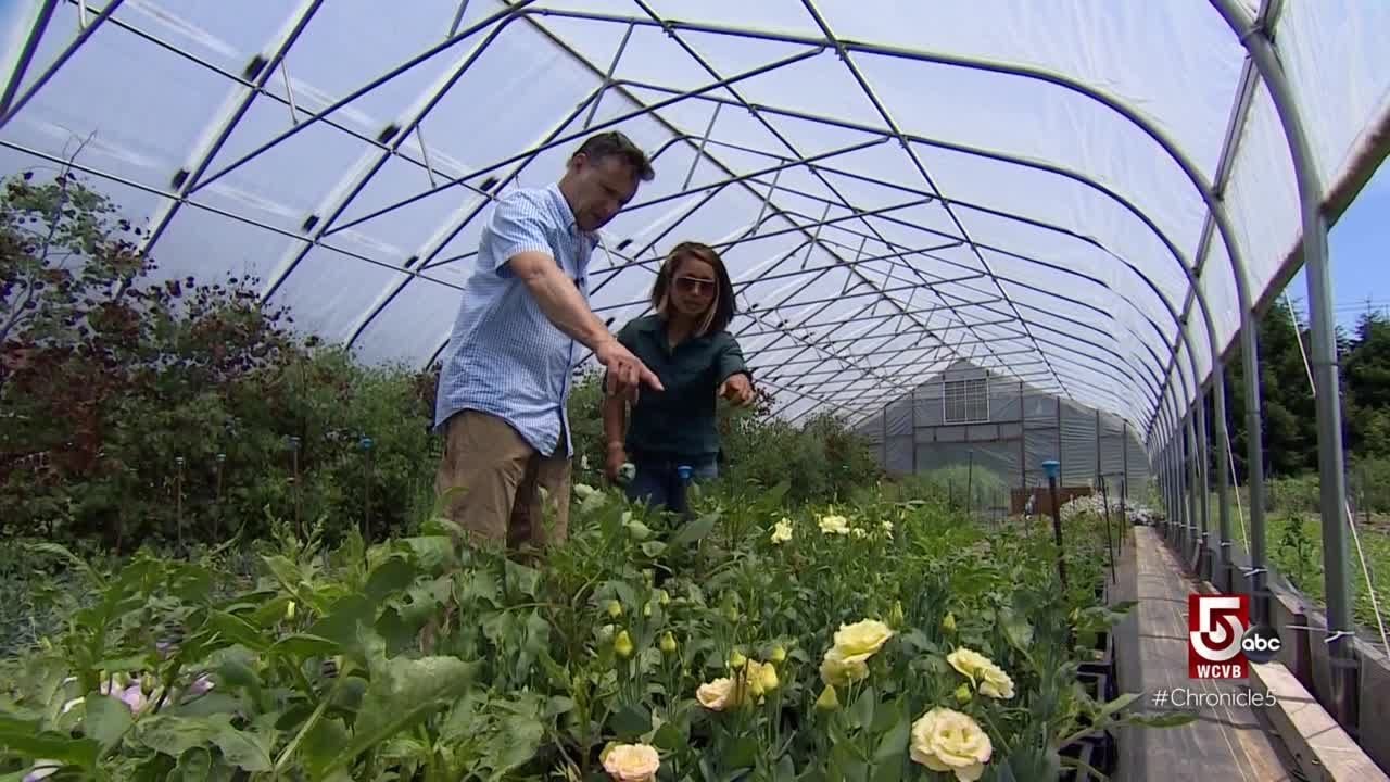 Head south to Rhode Island for no-till farming at Petals Farm