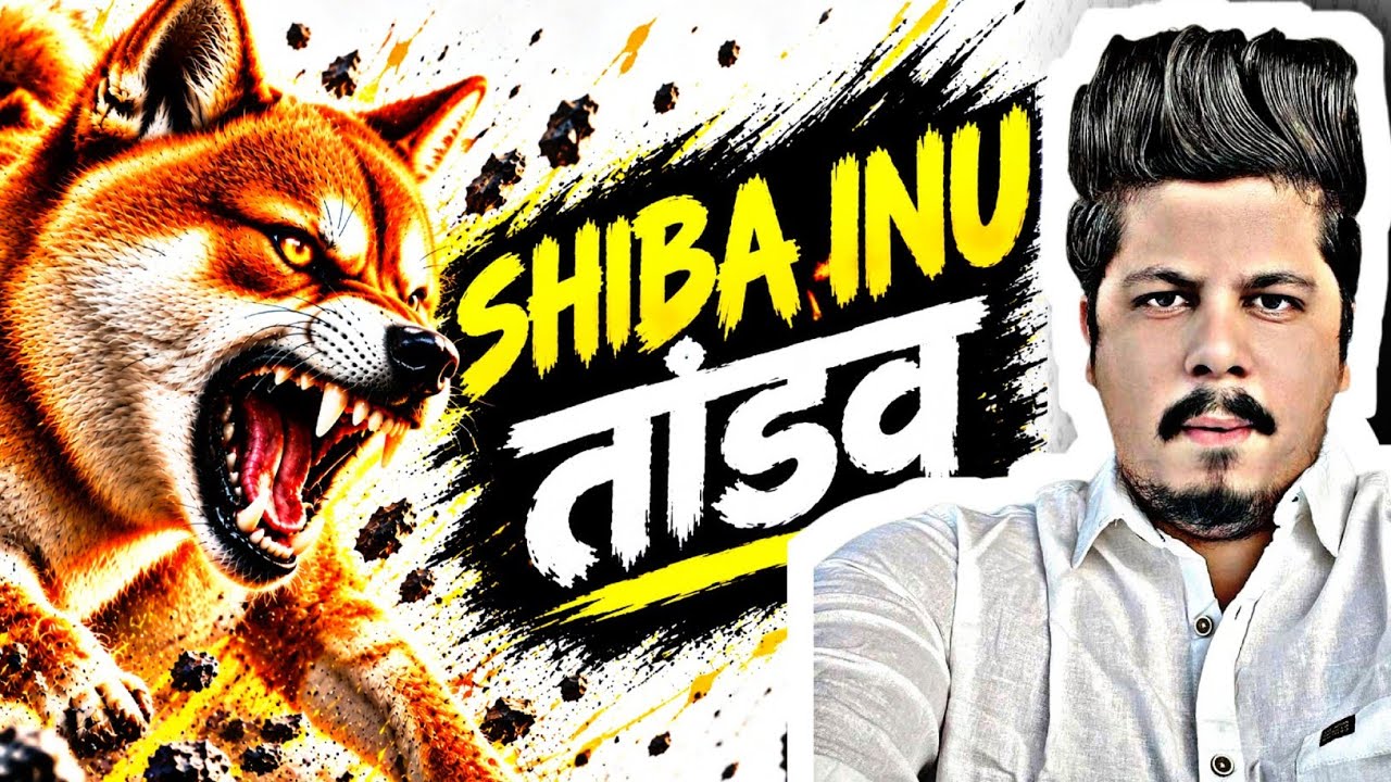 Shiba Inu तांडव