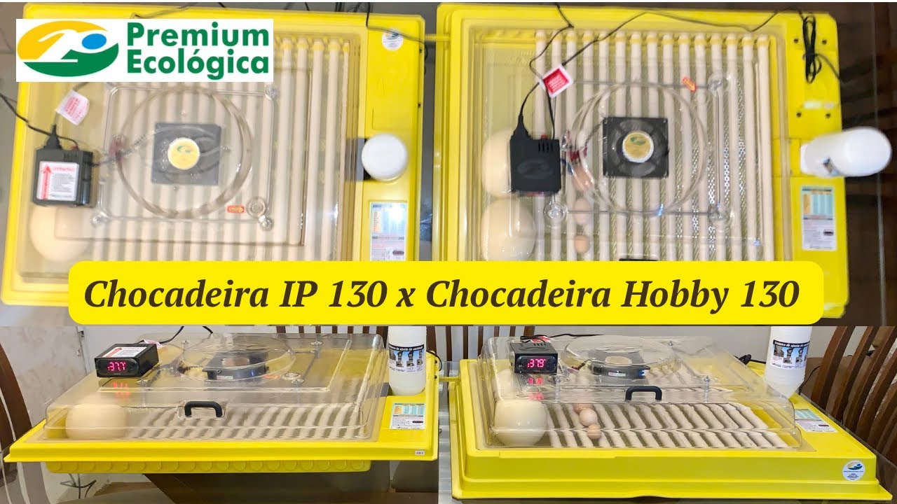 Chocadeira IP 130 x Chocadeira Hobby 130 da Premium Ecológica | Criatório Junior Cardoso