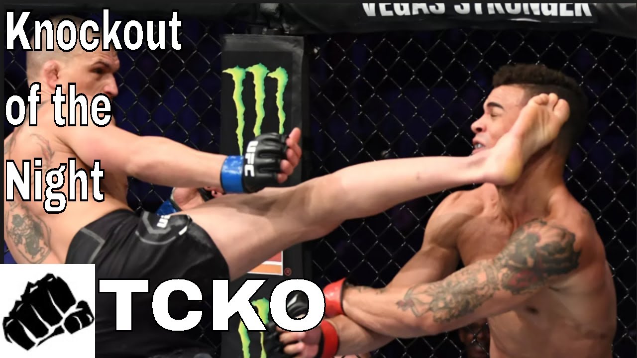 UFC Fight Night 138: Don Madge Brutal Knockout Recap