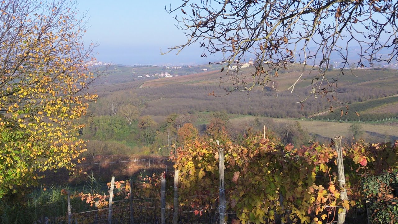 LA MORRA - SENTIERO DEL BAROLO (LANGHE)