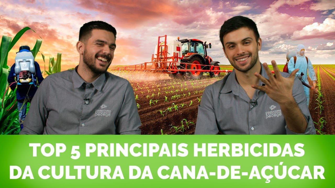 Top 5 principais herbicidas da cultura da cana-de-açúcar
