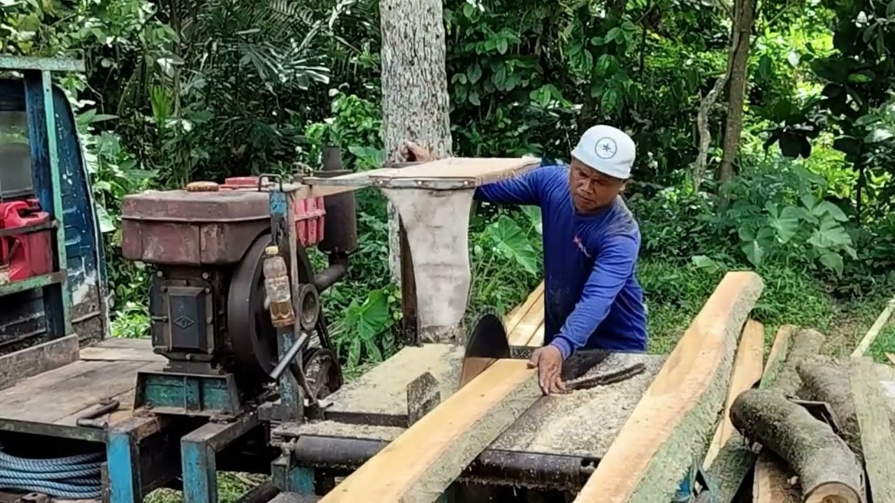 Penggergajian kayu waru dengan mesin serkel rakitan
