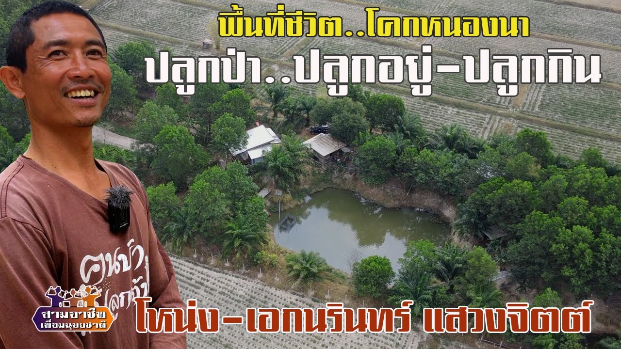 พื้นที่ชีวิต..โคกหนองนา 