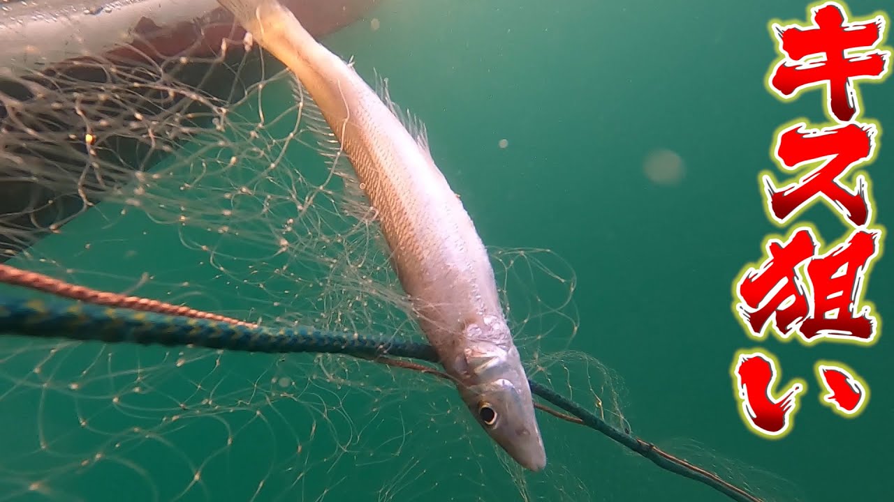 釣り以外で