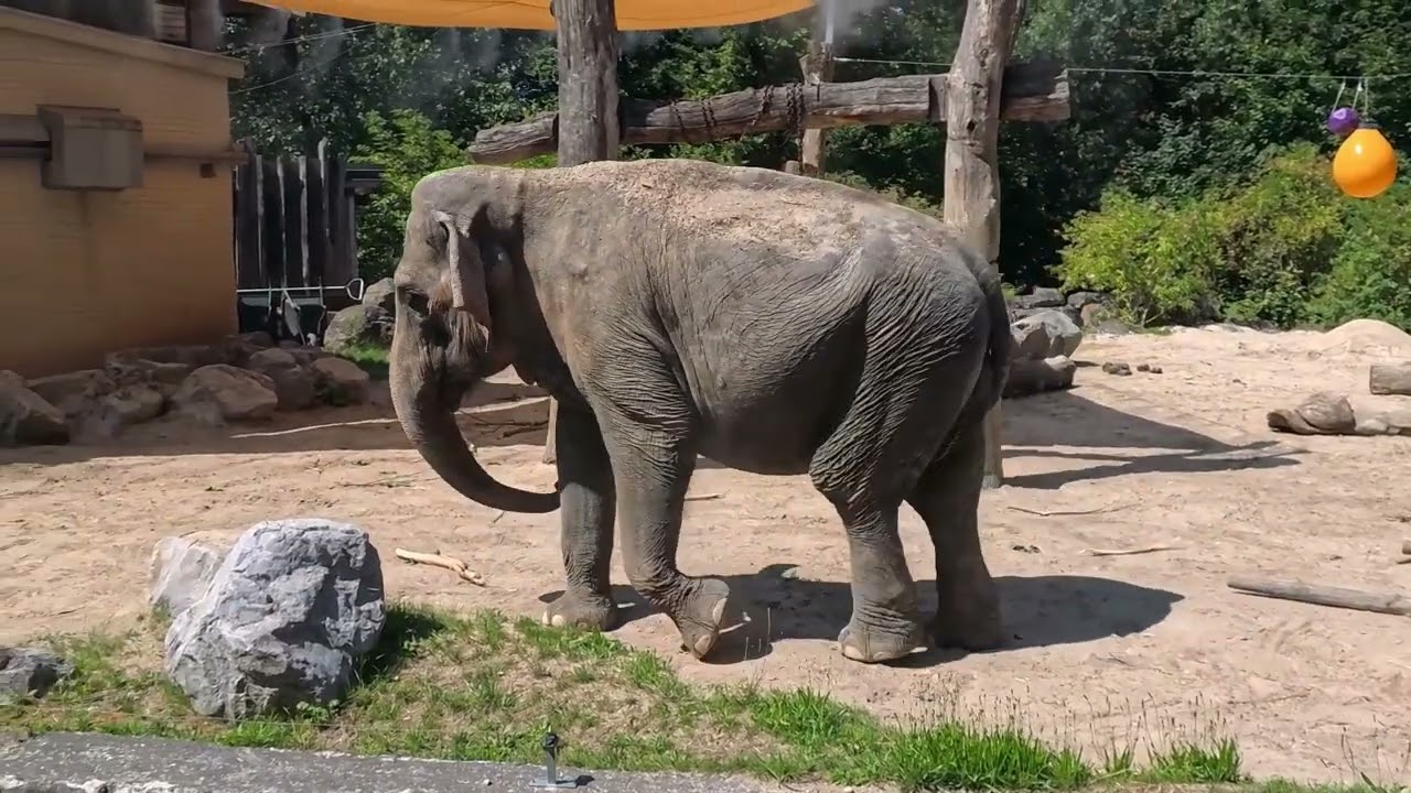ZOO LJUBLJANA/ZIVALJSKI VRT LJUBLJANA