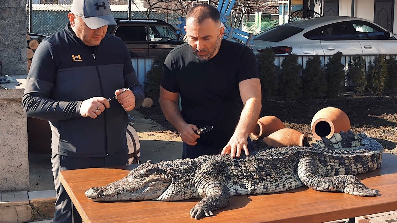 МЯСО КРОКОДИЛА на УГОЛЬНОМ ГРИЛЕ, МЯСО КРОКОДИЛА НА ГРИЛЕ.