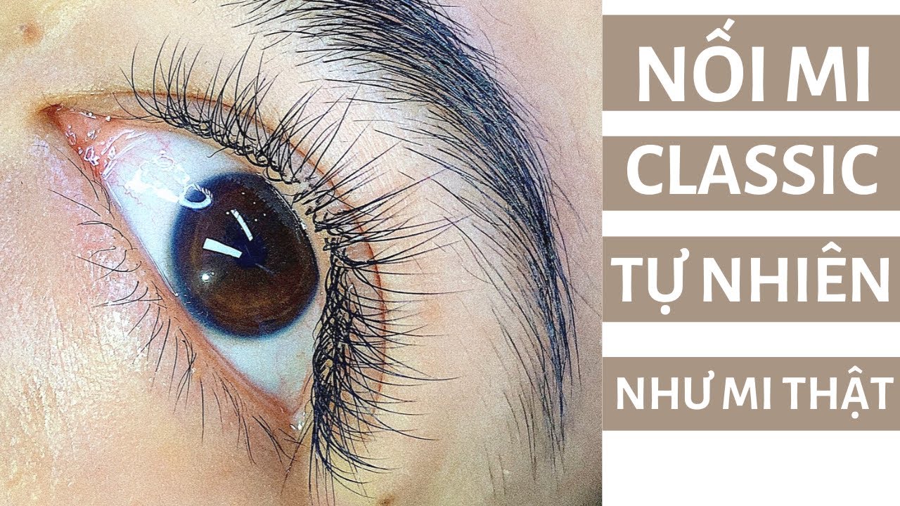 Nối mi tự nhiên - Nối mi Classic tự nhiên như mi thật