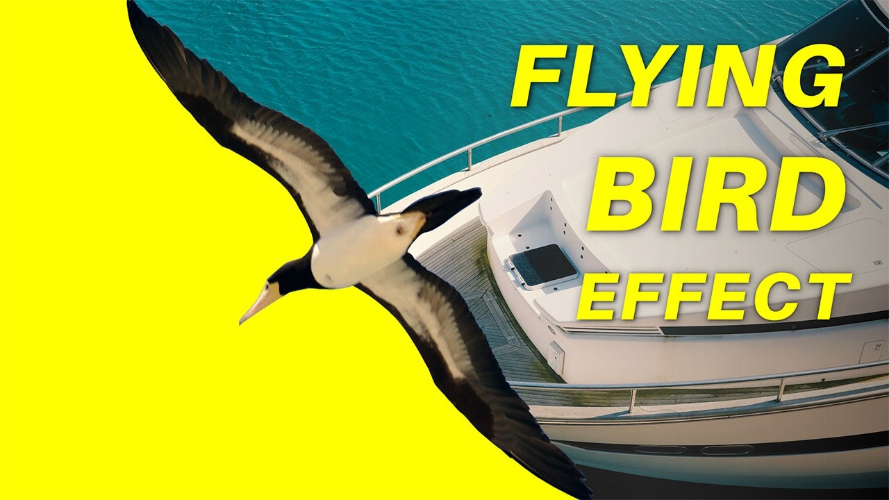 STUNNING Bird Flying Reveal Animation in PowerPoint + FREE TEMPLATE!