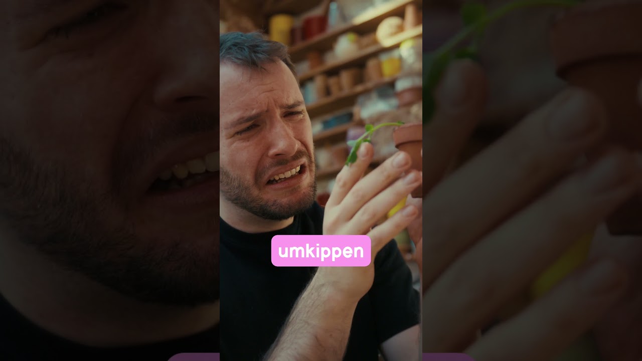 Keimlinge M&Uuml;SSEN hungern! 🌱