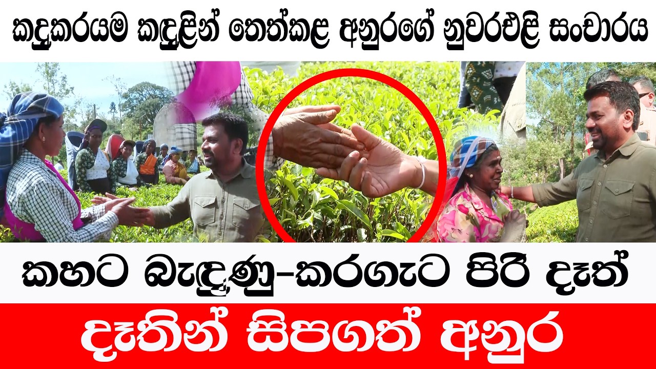 කදුකරයටම කඳු`එ උනයි/ අනුර කමිකරු දෑත් සිප ගනී /අඬන්නැත්ව නැවත බලන්න/@ADARATANEWS