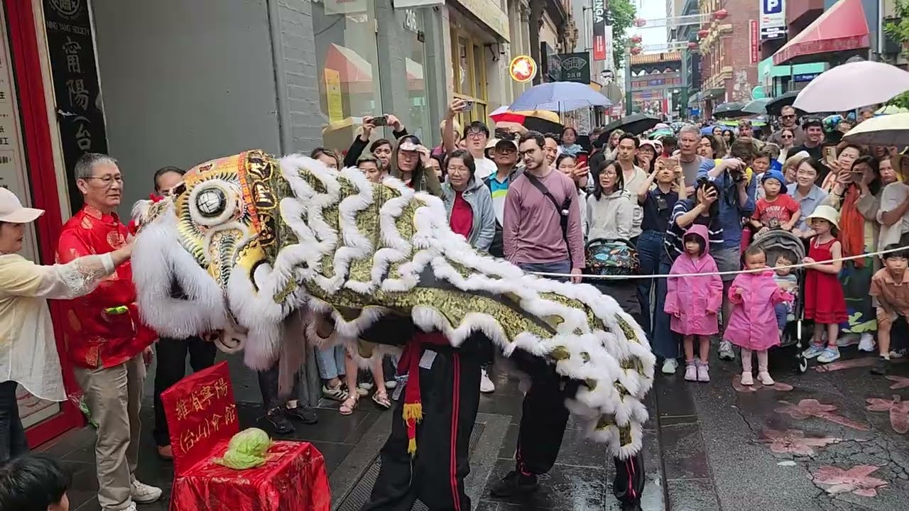 Lion Dragon Dance at Melbourne Chinatown Lunar New Year festival 2026 Hội chợ Tết @goplaces1