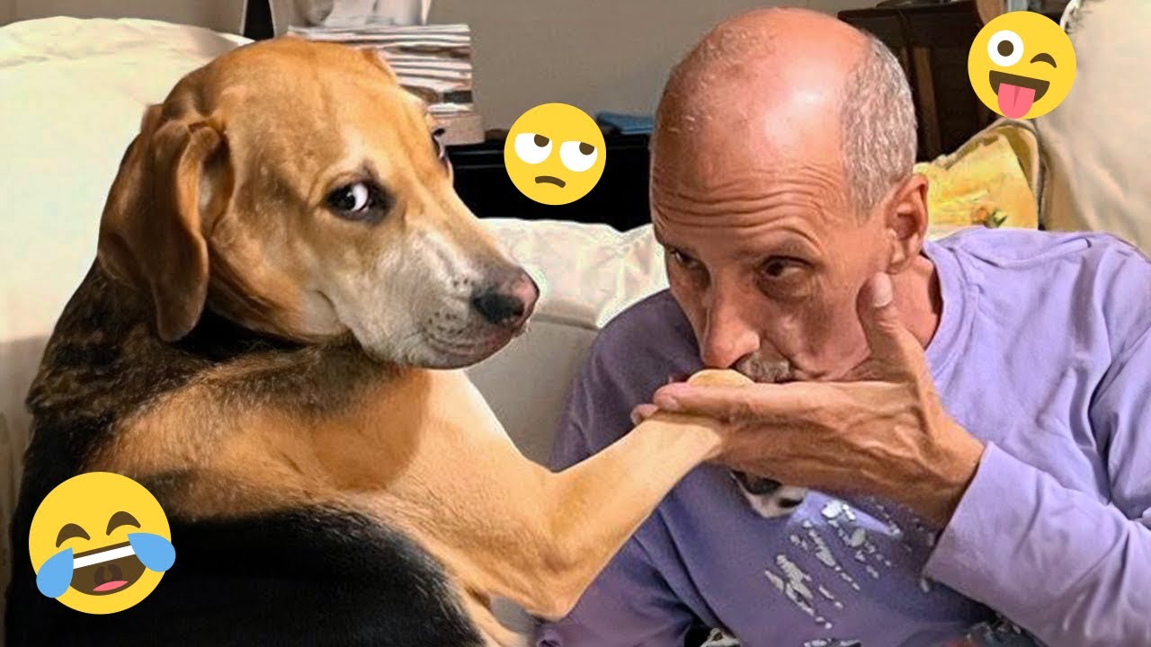 I dare you not to LAUGH at these FUNNY DOGS 😁🦮 - Best Funny Animals Videos 2026 #216