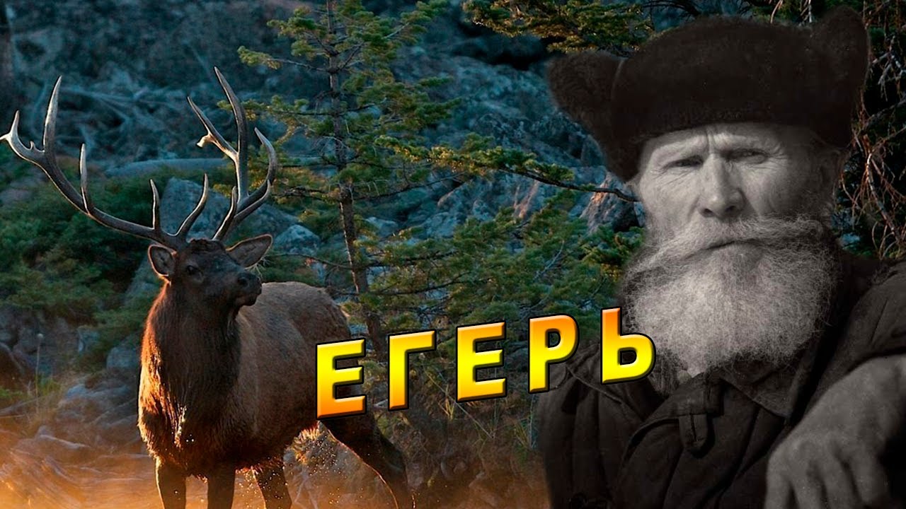 История старого егеря!