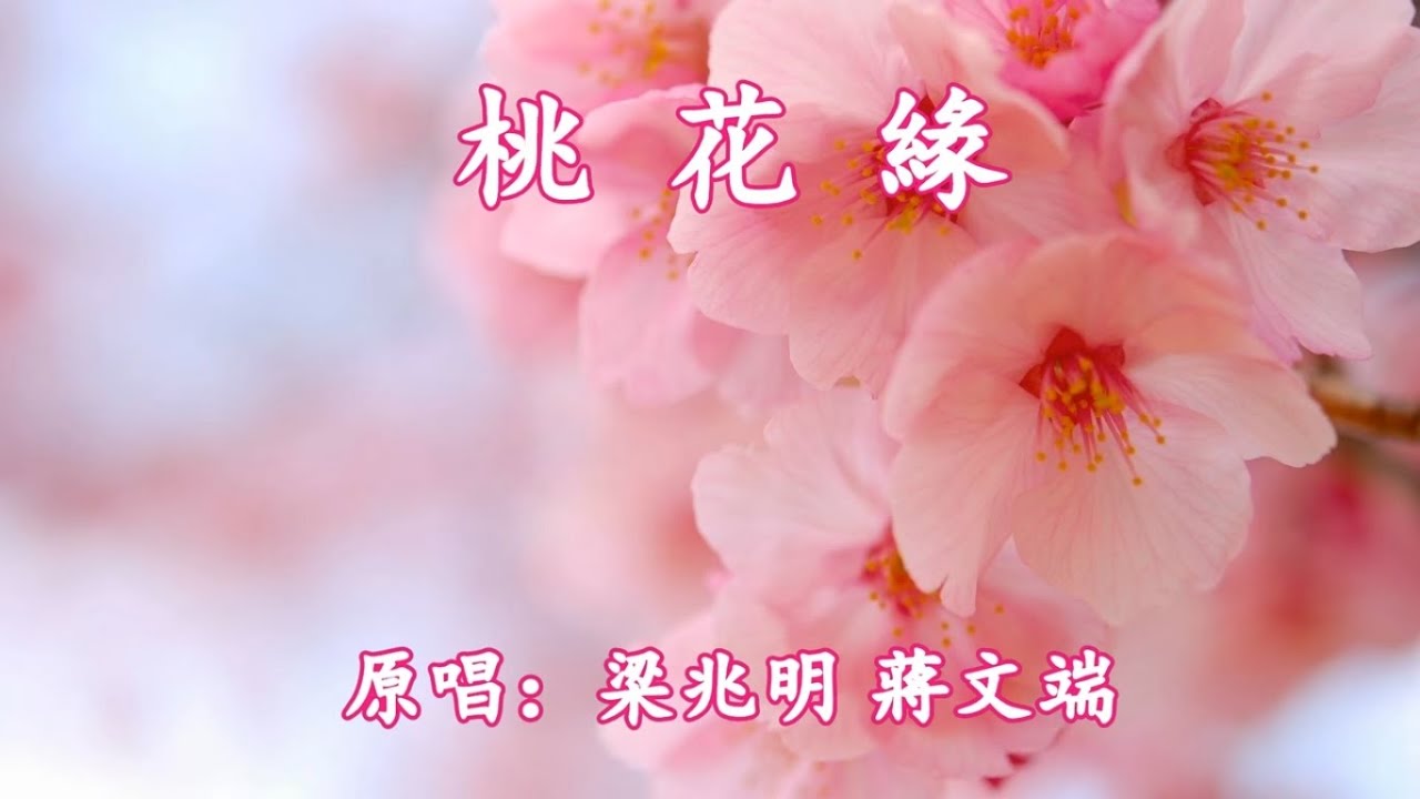 桃花緣_梁兆明 蔣文端 演唱
