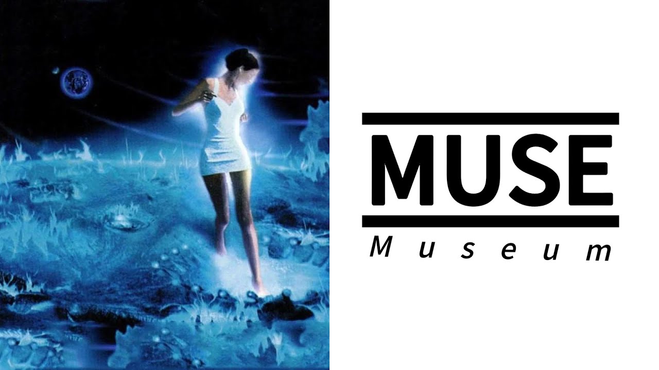 2. Muscle Museum - Muse (acoustic cover)